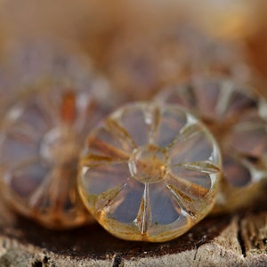 May include: Close-up of four clear glass buttons with a flower design. The buttons are translucent and have a light brown color.