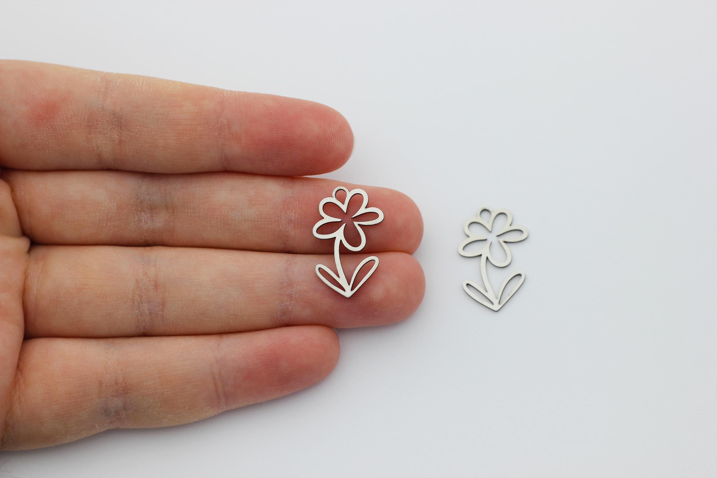 ★daisy★❤️ Bulk Daisy Crazy - Daisy Flower Seed Mix | Bulk Seed Store