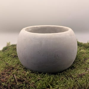 May include: A light grey, spherical concrete planter. The planter has a smooth, rounded shape with a wide opening. It sits on a bed of green moss, creating a natural contrast. The background is a soft, neutral colour.