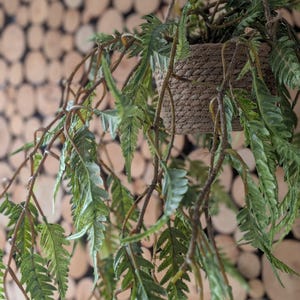 Kunsthangmand, luxe groene mand, kunsthangplanten, hangende mand, kunstvaren, kunstplanten, beste planten