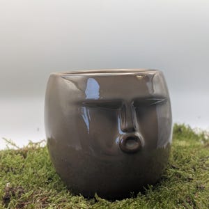 Peut inclure: Un pot de plante en céramique marron avec un visage. Le pot a une forme arrondie et présente un nez et une bouche pincée. Le pot est posé sur un lit de mousse verte.