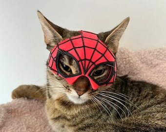 Maschera da gatto di Spiderman - Costume per gatti per Halloween