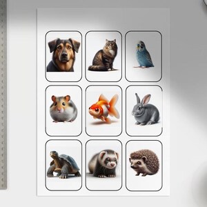 Flashcards montessori, cards, nomenclatura, animali, animals, linguaggio, apprendimento, leone, Maria Montessori, language