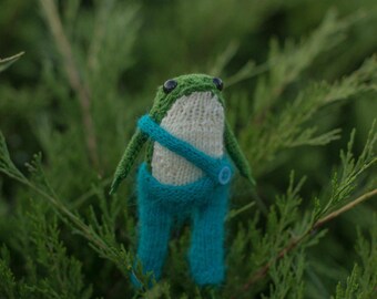 Green Frog in clothes toad Christmas gift doll, wife husband yellow funny gift, posing Cute Frog, Custom Frog, Finished Toy blue Birthday