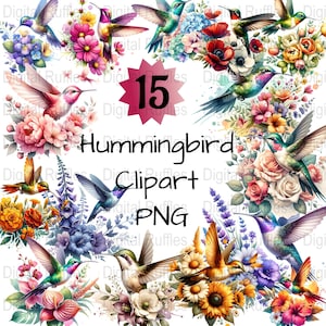 Watercolor Hummingbird Clipart: Floral PNG Bundle (Digital Download)