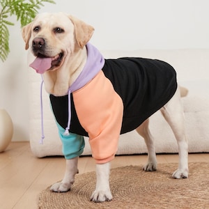 Cosmic Canine Dog Hoodie | Trendy Pet Hoodie | Small to Large Dog Clothes | Dog Lover Gift | Urban Snouts