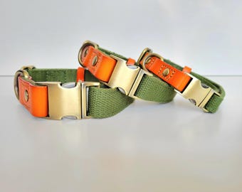 May include: Three dog collars in different sizes, made of green canvas with orange leather accents and brass buckles.