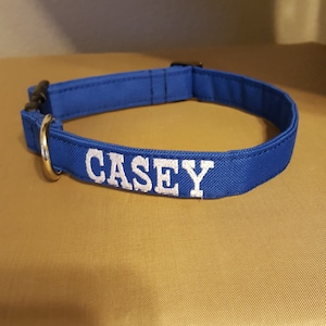May include: Blue dog collar with a gold metal ring and the name "CASEY" embroidered in white.