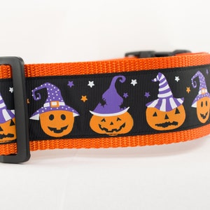 May include: An orange nylon pet collar featuring a black ribbon overlay with a repeating pattern of orange jack-o'-lanterns wearing purple and white striped witch hats, accented by small white and orange stars, a black plastic buckle, and a metal D-ring.