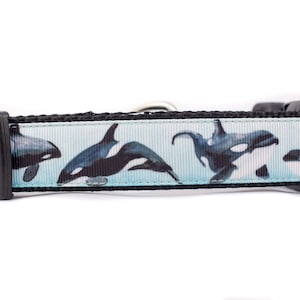 Killer Whale Dog Collar - 1" inch wide - buckle or martingale - nautical dog collar - summer collar - beach collar - boy dog collar - orca