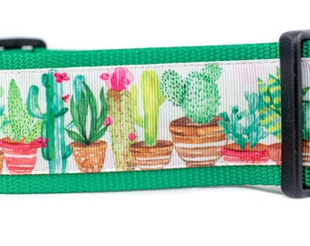 Potted Western Cactus Dog Collar - 2 inch wide - buckle or martingale collar - southwestern dog collars - dog collar - boy dog collar