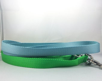 Nylon Dog Leash, 1 inch wide, 14 color choices, black, blue, orange, white, red, brown, green, tan, grey, silver, pink, navy, raspberry