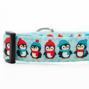 May include: A light blue dog collar featuring a repeating pattern of cartoon penguins wearing red and blue hats and scarves. The collar has a black plastic buckle and a silver metal loop.