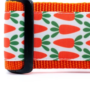 May include: Orange and white dog collar with a repeating pattern of carrots. The collar has a black buckle.