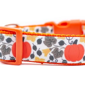 Autumn Harvest Dog Collar - 1 inch wide - Halloween Fall dog gift