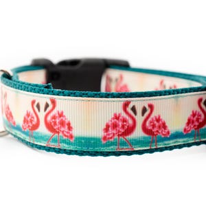Dancing Flamingos Dog Collar - 1 inch wide - buckle or martingale collar - Summer dog collar