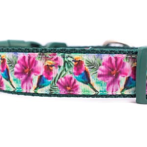 Tropical Hummingbird Dog Collar - 1 inch wide - buckle or martingale collar - nature - hawaiian - floral dog collar - hibiscus - birds