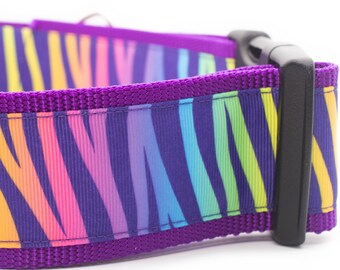 May include: A wide pet collar featuring a vibrant rainbow zebra stripe pattern on a purple background. The collar is constructed from durable webbing and includes a sturdy black plastic side-release buckle for secure fastening and adjustment.