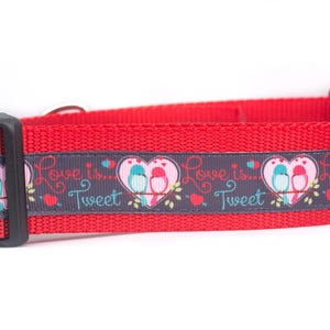 Love is Tweet Dog Collar - 1.5 inch wide for large dogs - buckle or martingale - valentine&#39;s day dog collar - heart dog collar - bird collar