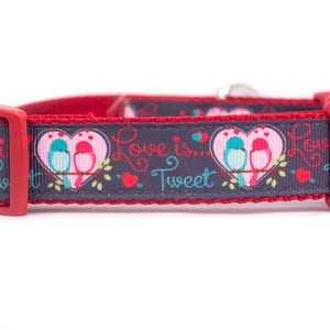 Love is Tweet Dog Collar - 1 inch wide - buckle or martingale - valentine&#39;s day dog collar - heart dog collar - love bird dog collar - red