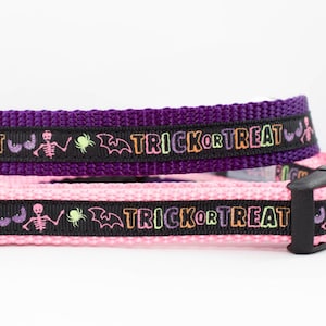 Neon Trick or Treat Dog Collar - 5/8 or 3/4&quot; inch wide - Halloween dog collar - neon dog collar - Fall dog collar - spooky dog collar
