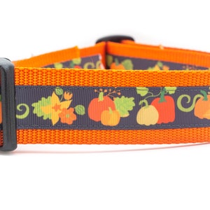 Fall Dog Collar - Thanksgiving Gourds Dog Collar - Halloween Dog Collar- 1.5 inch wide - buckle or martingale collar - Pumpkins - Harvest