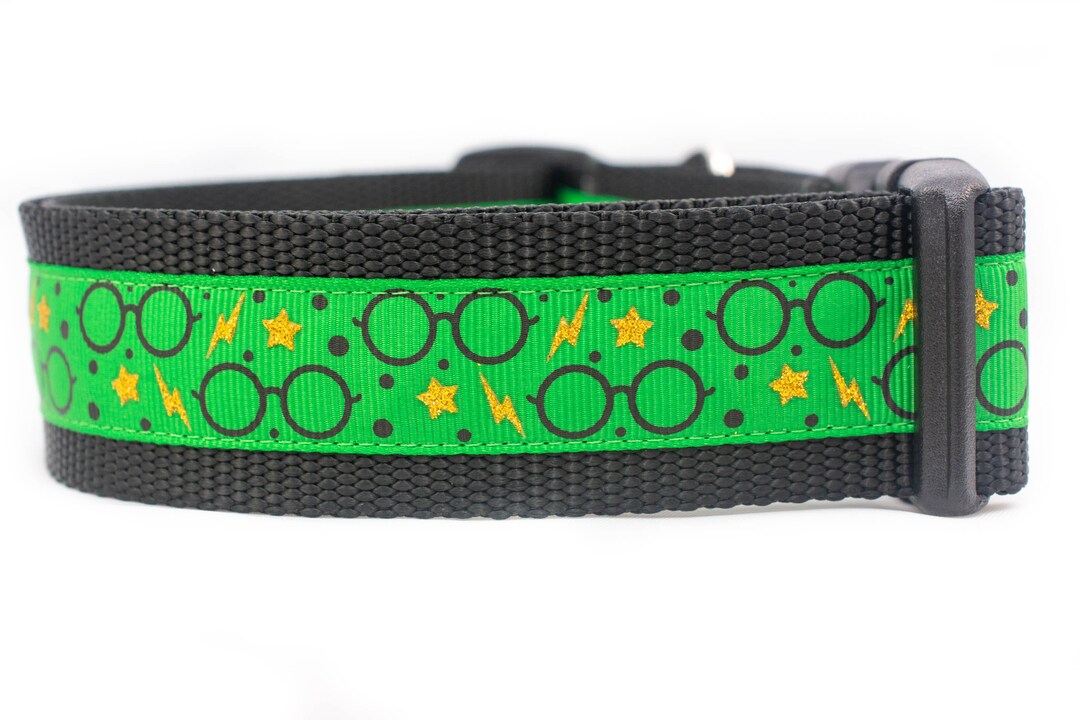 Wizard Glasses Dog Collar 1.5 Inch Wide Buckle or Martingale Collar