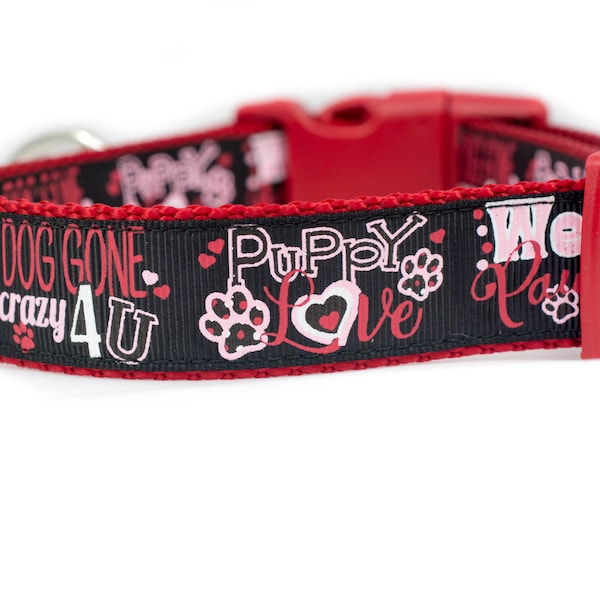 Dog Gone Crazy 4 U Dog Collar - 1 inch wide - buckle or martingale collar - valentines day dog collar - hearts dog collar - paws dog collar