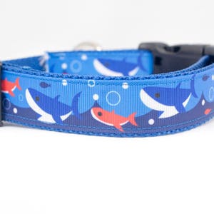 Blue Shark Dog Collar 1 Inch Wide Buckle or Martingale - Etsy