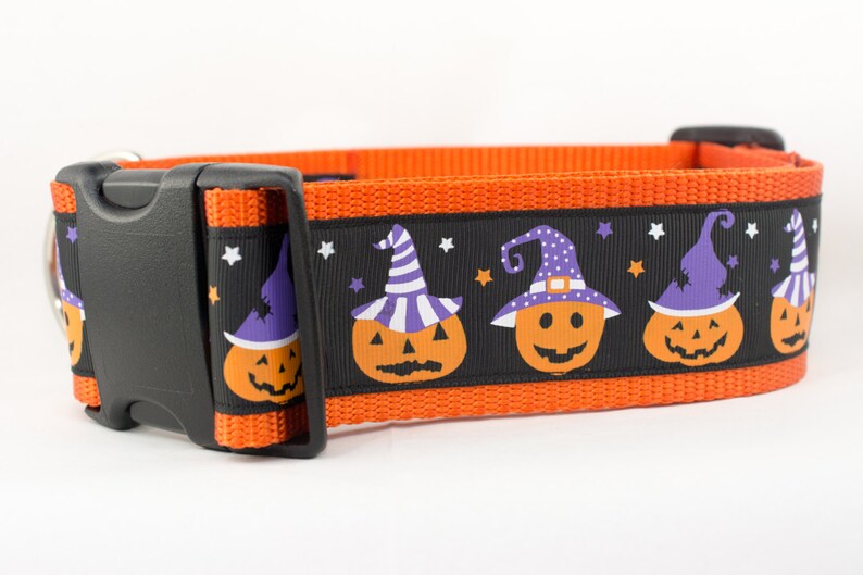 Pumpkin Dog Collar Witch Dog Collar 2 inch wide Fall dog collar halloween dog collars Autumn dog collar Pumpkins dog collar image 2