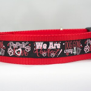 Dog Gone Crazy 4 U Dog Collar - 1.5 inch wide for large dogs - buckle or martingale collar - valentines day dog collar - hearts dog collar