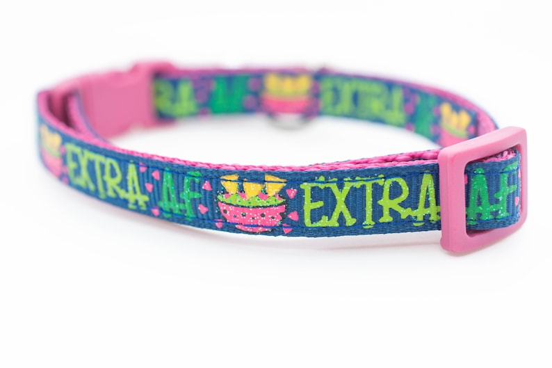 以下が含まれることがあります： 「EXTRA AF」と印刷された青とピンクの猫用首輪。首輪はピンクのバックル付きです。