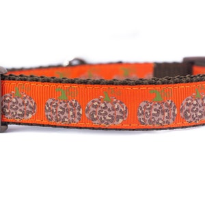 Leopard Pumpkin Dog Collar - Halloween Dog Collar - 5/8 or 3/4 inch wide - Autumn dog collar - fall dog collar - brown dog - jack O Lantern