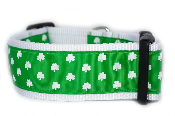 clover dog pet supply