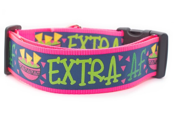 Weird dog cheap collars