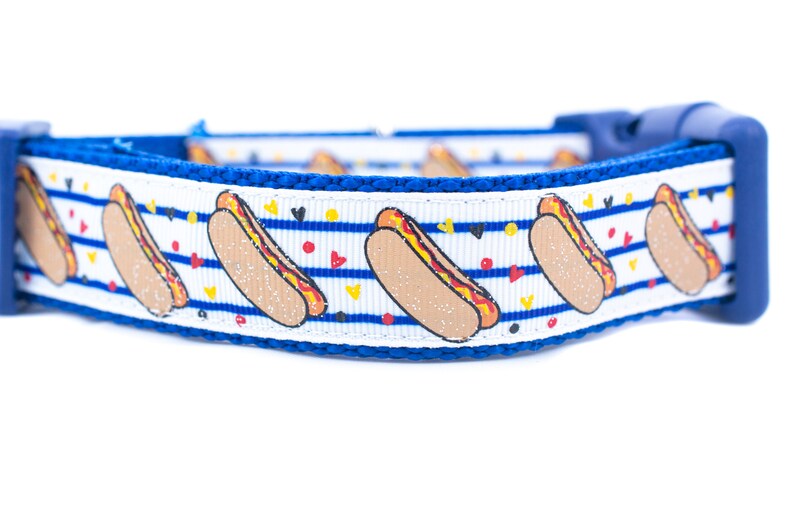 Hotdog Dog Collar 1 inch wide buckle or martingale collar Etsy