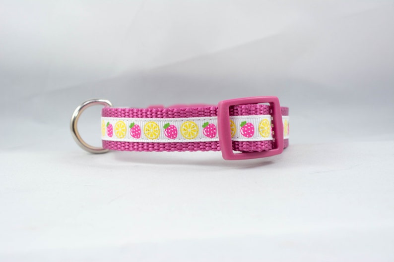 58 or 34 inch wide pink raspberry lemon glitter sparkle spring Strawberry Lemonade Dog Collar summer small dog yellow white