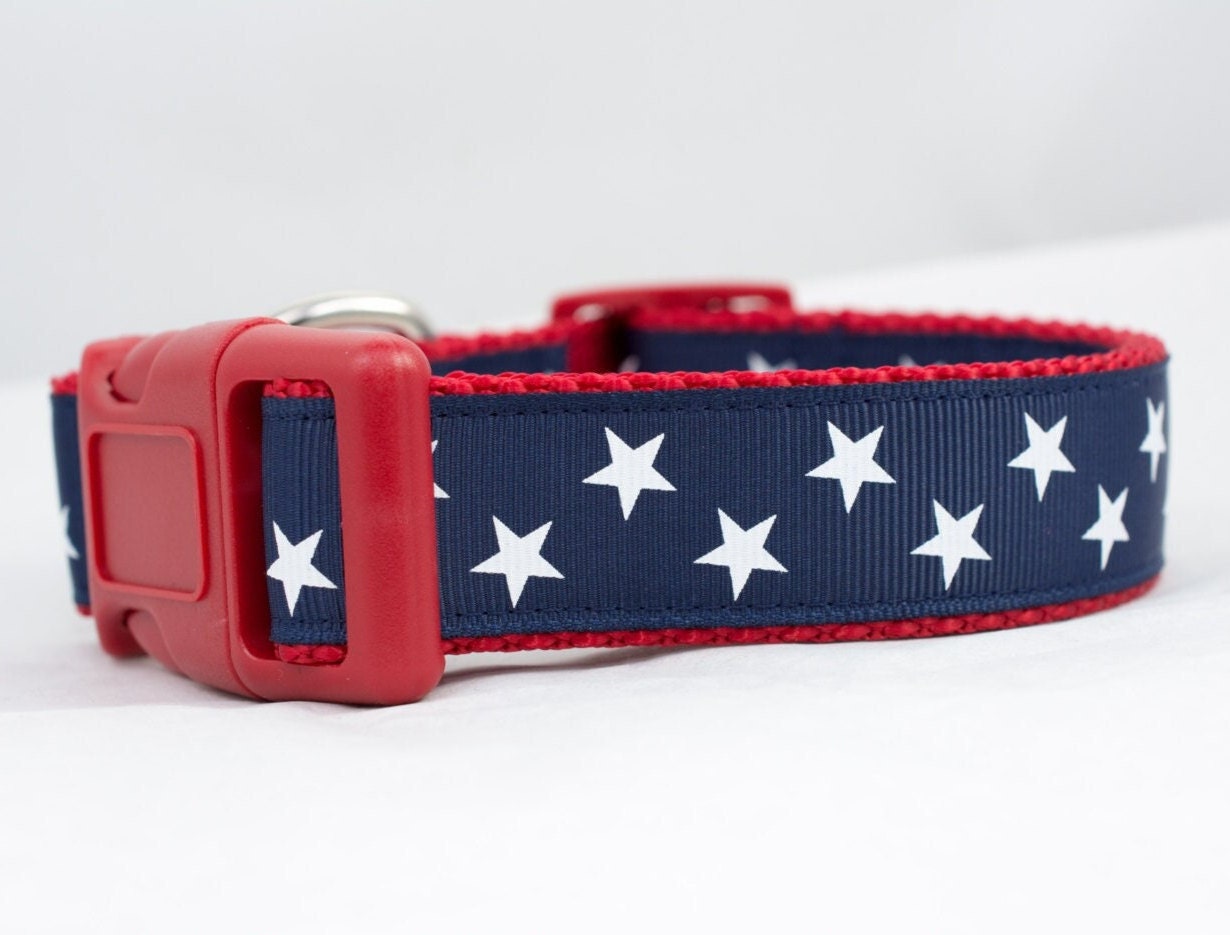 American Star 1 Inch Wide Dog Collar - Buckle Or Martingale Collar Patriotic Dog American 4Th Of July Stars