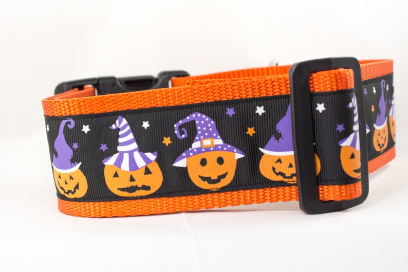 Pumpkin Dog Collar Witch Dog Collar 2 inch wide Fall dog collar halloween dog collars Autumn dog collar Pumpkins dog collar image 5