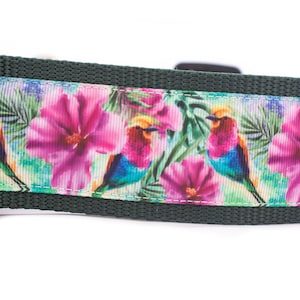 Tropical Hummingbird Dog Collar - 2 inch wide - buckle or martingale collar - nature - hawaiian - floral dog collar - hibiscus - birds