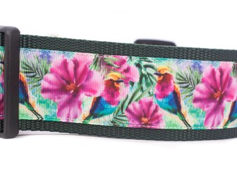 Tropical Hummingbird Dog Collar - 2 inch wide - buckle or martingale collar - nature - hawaiian - floral dog collar - hibiscus - birds