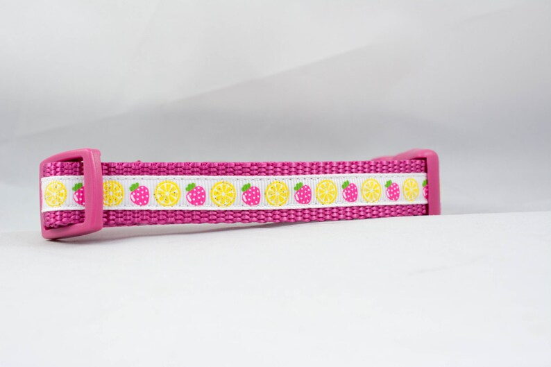 58 or 34 inch wide pink raspberry lemon glitter sparkle spring Strawberry Lemonade Dog Collar summer small dog yellow white