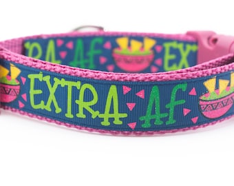 Extra AF Dog Collar - 1 inch wide - buckle or martingale collar - funny dog collars - fiesta dog collar - pink dog - spoiled dog collar