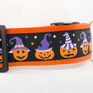 Pumpkin Dog Collar Witch Dog Collar 2 inch wide Fall dog collar halloween dog collars Autumn dog collar Pumpkins dog collar image 1