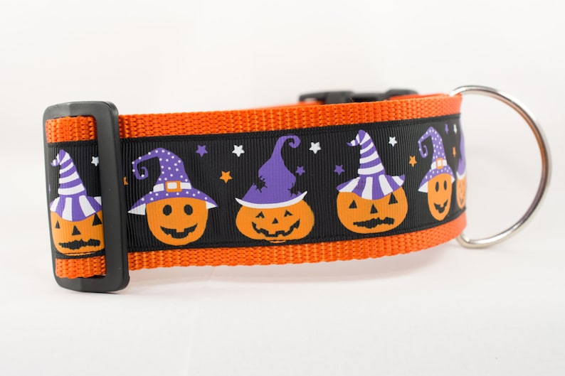 Pumpkin Dog Collar Witch Dog Collar 2 inch wide Fall dog collar halloween dog collars Autumn dog collar Pumpkins dog collar image 1