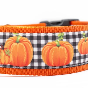Plaid Pumpkin Dog Collar - Autumn Dog Collar- 2 inch wide - buckle or martingale collar - Fall dog collar - Halloween dog collar - orange