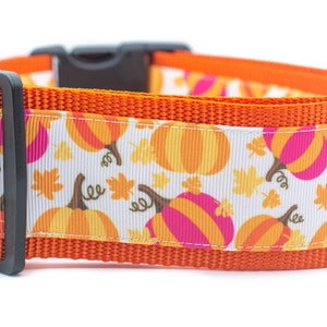 Fall Dog Collar - Leaves and Pumpkin Dog Collar - Halloween Dog Collar- 2 inch wide - buckle or martingale collar - Thanksgiving dog collar