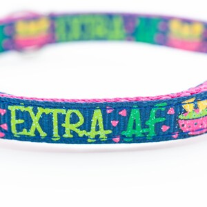 以下が含まれることがあります： 「EXTRA AF」の文字と緑とピンクの サボテンのデザインが施された青とピンクの犬用首輪です。