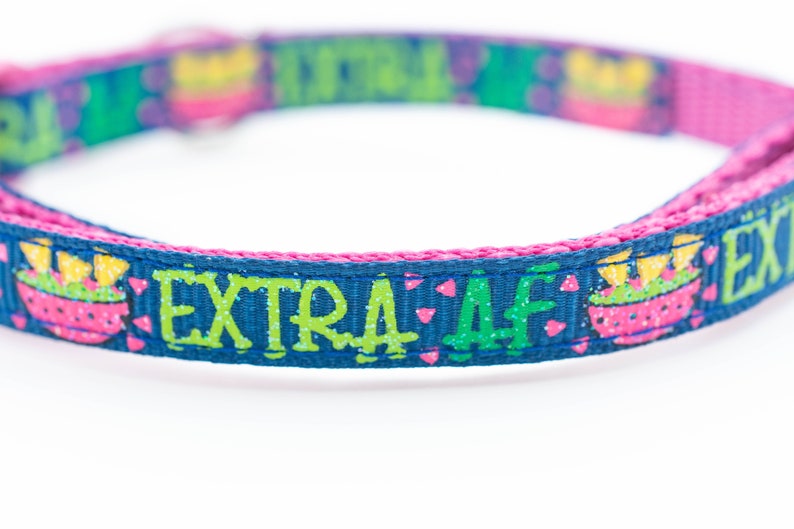 以下が含まれることがあります： 「EXTRA AF」の文字と緑とピンクの サボテンのデザインが施された青とピンクの犬用首輪です。