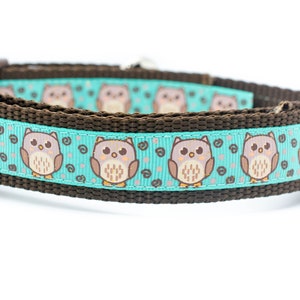 Aqua Owl Dog Collar - 1 inch wide - buckle or martingale collar - tribal dog collar - bohemian dog collar - fall dog collar - woodland